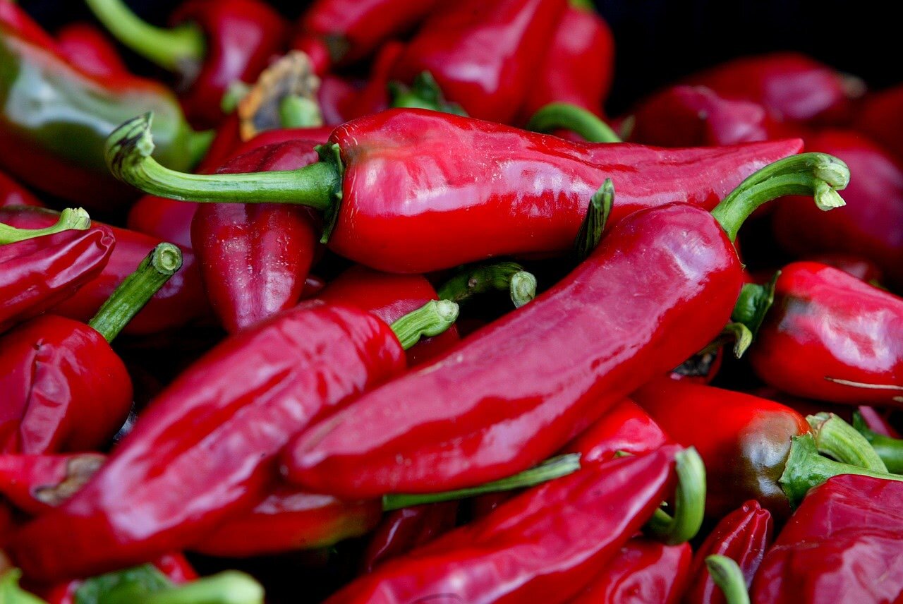 Chili Gorria peppers