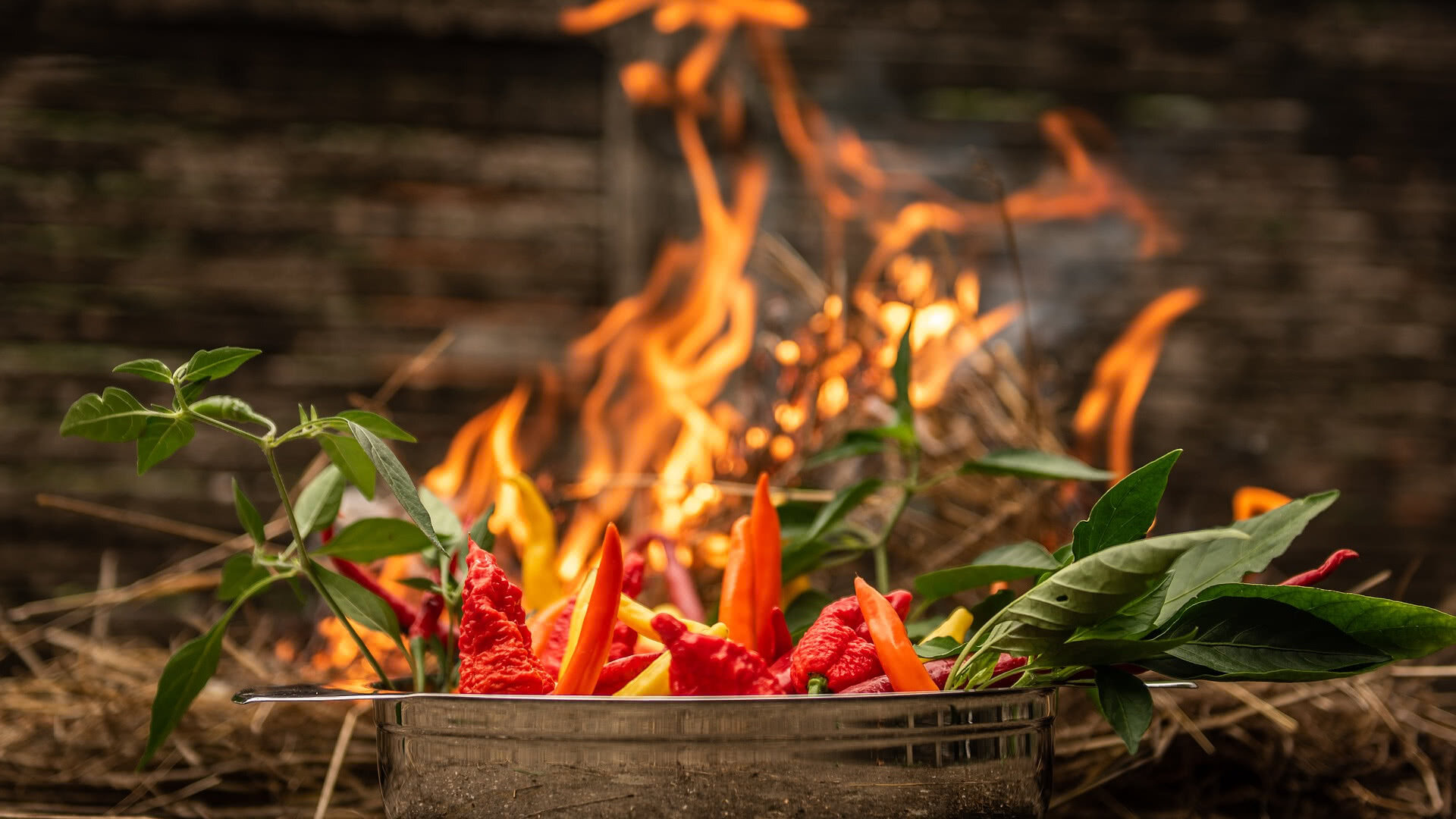 Fire and Chilis