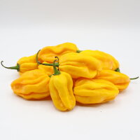 Habanero gelb chili Samen