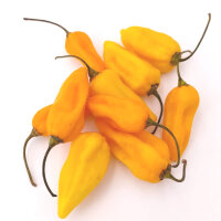 Naga Bhut Jolokia Orange Chili-Seeds 10 Pcs.