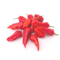 Naga Bhut Jolokia Red Chili-Samen 10 Stk.