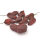 Habalokia Red Brown - 10 Semillas de chile