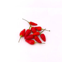 Korean Hot Chili-Seeds 10 Pcs.