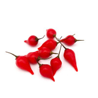 Biquinho Vermelho Chili-Samen 10 Stk.