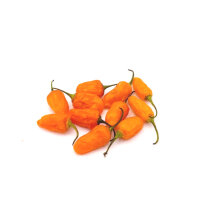 Ayuyo Orange Chili-Samen 10 Stk.